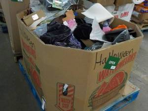 Pallet of New Halloween Costumes...