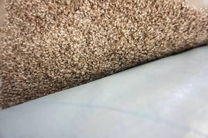 lot 23 image: 8 x 12 Approx. Carpet Remnant Color-Tone Tan Beige Brown Blend