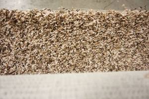 lot 73 image: 11-ft. Approx. Carpet Remnant Color-Tone Tan Beiige