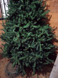lot 66 image: Artificial Christmas tree and a fresh tree stand