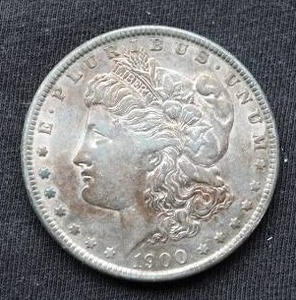 1900 Morgan Dollar - Cool Toning