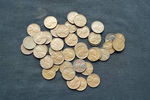 (41) 1955 Wheat Pennies