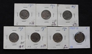 (7) Buffalo Nickels