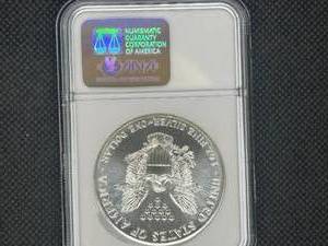 1989 American Silver Eagle NGC MS69    NGC Price Guide for an MS69 is $100