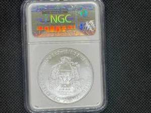 2009 American Silver Eagle NGC MS69    NGC Price Guide for an MS69 is $50