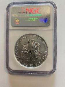 2008 American Silver Eagle NGC MS69    NGC Price Guide for an MS69 is $55