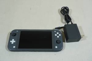 Nintendo Switch Lite Video Game System - Works, Damaged