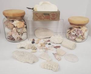 lot 482 image: Decorative Shells wGlass Jars w8 Shell Trays