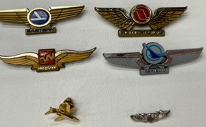 lot 580 image: Vintage Multiple Airline Pins Flying Northwest Orient, Eastern, Republic & More