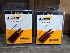 lot 1066 image: Lot of (2) A-Zoom 22-250 Rem Snap Caps 2-piece (in original packaging)