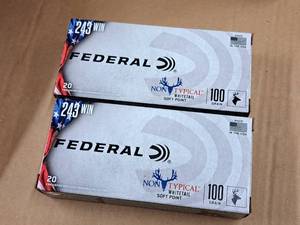 lot 716 image: Lot of (2 Boxes) Federal 243 Win 100 gr Soft Point Centerfire Rifle Cartridges 20-count