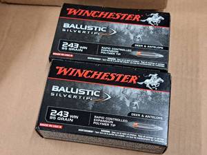 lot 723 image: Lot of (2 Boxes) Winchester Ballistic Silvertip Deer & Antelope 243 Win 95 gr Polymer Tip Cartridges 20-count