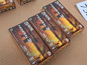 lot 733 image: Lot of (3 Boxes) Federal Fusion MSR 224 Valkyrie 90 gr Bonded Soft Point Rifle Cartridges 20-count