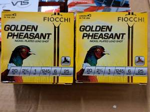 lot 798 image: Lot of (2 Boxes) Fiocchi Golden Pheasant 20 Gauge 2-34 1oz 6 Shot Nickel Plated Lead Shot Shotshells 25-count