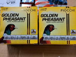 lot 799 image: Lot of (2 Boxes) Fiocchi Golden Pheasant 20 Gauge 2-34 1oz 6 Shot Nickel Plated Lead Shot Shotshells 25-count