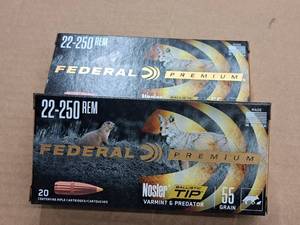 lot 934 image: Lot of (2 Boxes) Federal Premium Nosler Varmint & Predator Ballistic Tip 22-250 REM 55 gr Centerfire Rifle Cartridges 20-count