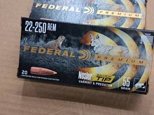 lot 933 image: Lot of (2 Boxes) Federal Premium Nosler Varmint & Predator Ballistic Tip 22-250 REM 55 gr Centerfire Rifle Cartridges 20-count