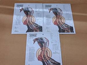 lot 1183 image: Lot of (3) Champion Life-Size Turkey Targets 12-piece