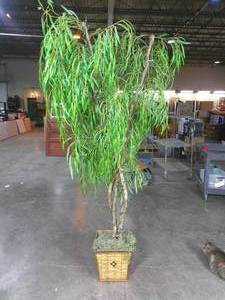 lot 174 image: Faux 7 Light Up Willow Style Tree-Half Lights Not working