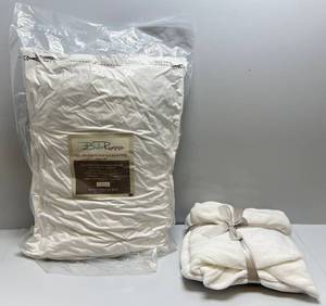 lot 90 image: Bella Rosso 2 Pack All Season Down Alternative Pillows & Fleece Blanket