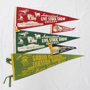 lot 96 image: 5 Vintage Livestock Show Pennants, Grand National, International