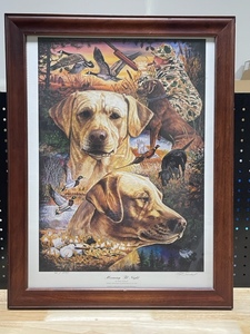 lot 24 image: Framed Wildlife Print (See pics)