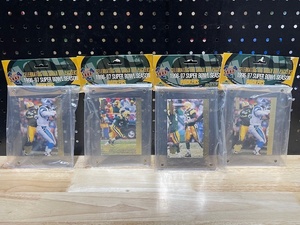 lot 101 image: 1996-97 Green Bay Packers Super Bowl Season Pictures