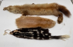 lot 169 image: Lot of 3 Fur Skins
