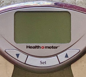 lot 254 image: Awesome Health O Meter Scale