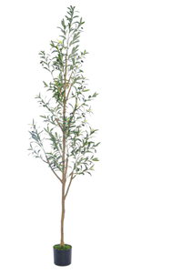 lot 166 image: 7.6FT (92) Olive Tree Tall Skinny Artificial Plants for Home