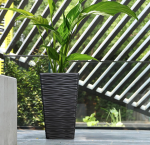 lot 154 image: Worth Garden 2-Pack Black Tall Tree Planter