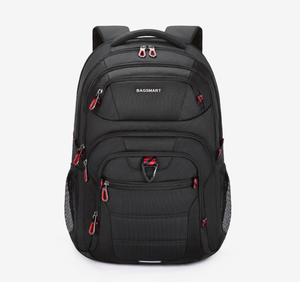 lot 196 image: Phoenix 40L Roomy Computer Backpack