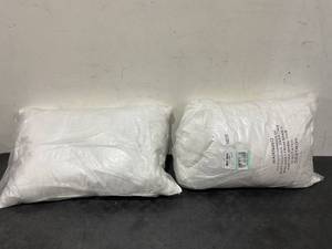 lot 282 image: LOT OF 2 20x30 Queen Size Pillows