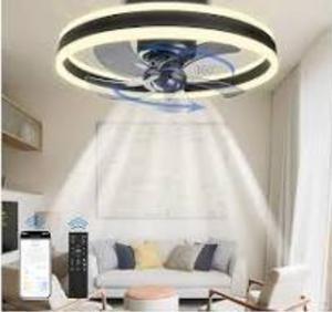 lot 95 image: Esther life Ceiling Fans with Lights and Remote