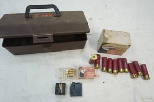 lot 308 image: ammo