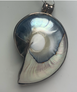 lot 16 image: LARGE Sterling Silver & Mother of Pearl FossilShell Pendant