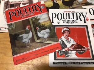 lot 241 image: Nice Group of Vintage 1920s-30s Poultry Tribune Magazines