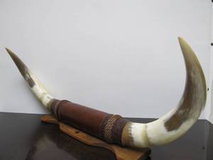 lot 72 image: Western Style Genuine Bull Horn Display Rack