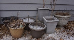lot 311 image: Outdoor Patio Flower Pots...