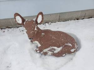 lot 36 image: Concrete Deer