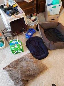 lot 116 image: Dog Supplies - Kennel, Pillow, Bowls, Trimmer, Etc