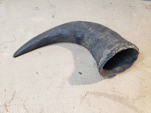 Bull Horn