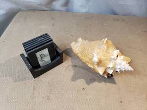 Conch Shell and Picture Frame Coasters