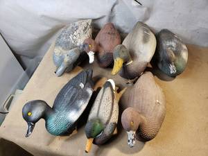 Duck Decoys
