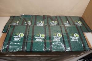 lot 100 image: 10 Insulated Reuseable Grocery Bags
