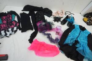 lot 79 image: Large Group Girls Ballet Items