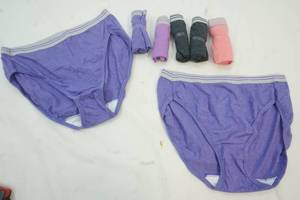 lot 105 image: New Ladies Fruit Loom  size 6 underwear