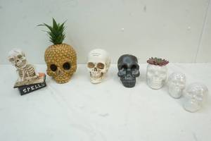 lot 127 image: Variety of Skulls