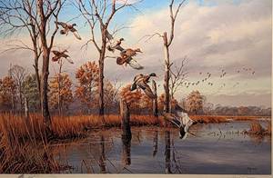 lot 58 image: Framed Duck Print by David Maass