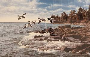 lot 60 image: Framed Scenic Duck Print by David Maass